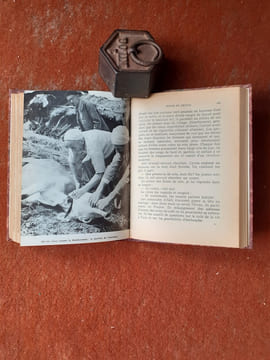 Dans l'Aurès, sur les pas des rebelles
. SERVIER Jean