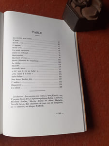 Théâtre - Vingt saynètes en patois de Lille