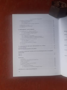 "Les Remarques de l'Académie française sur le Quinte-Curce de Vaugelas (1719-1720) - Contribution à une histoire de la norme grammaticale & rhétorique en France
"