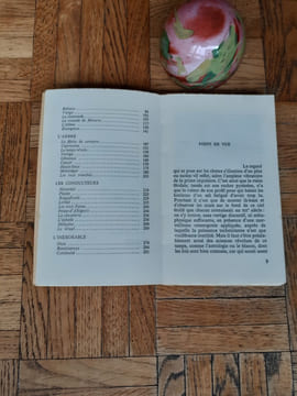 Géographie sidérale / Essai sur la géographie sidérale des Pays d'Oc et d'ailleurs
. DOUMAYROU Guy-René