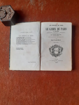 Les Enfants de Paris - Le gamin de Paris à Alger. Impressions, réflexions, admirations et suffocations de voyage de Joseph Meunier, dit le Gamin de ...