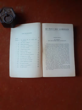 Au pays des gorilles. Dans la forêt vierge de l'Ouganda
. BAUMGÄRTEL Walter
