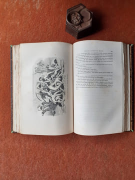 Souvenirs d'un aveugle - Voyage autour du monde
. ARAGO Jacques