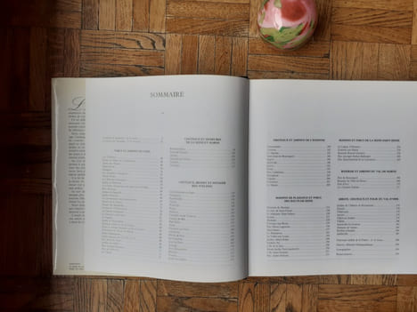 Cent jardins à Paris et en Ile-de-France
. ANDIA Béatrice - JOUDIOU Gabrielle - WITTMER Pierre (textes réunis par)
