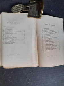 Louis XI. Tome 1 : Le Dauphin - Tome 2 : Le Roi