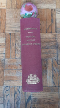 Voyages aux îles du Grand Océan. Contenant des documents nouveaux sur la géographie physique et politique, la langue, la littérature, la religion, les ...