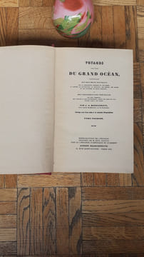 Voyages aux îles du Grand Océan. Contenant des documents nouveaux sur la géographie physique et politique, la langue, la littérature, la religion, les ...