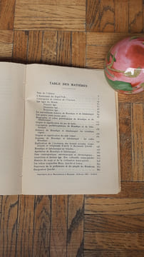 L'ésotérisme du Popol-Vuh. Le livre sacré et des mythes de l'antiquité américaine - Livres héroïques et historiques des Maya-Quiché
. GIRARD ...