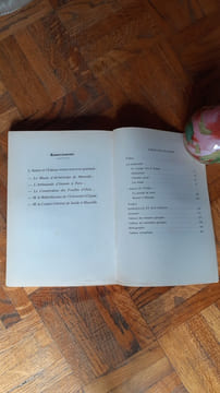 Journal de bord de Pythéas de Marseille
. LALLEMAND Ferdinand