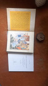 Trois contes étranges - Le Fou des Livres. Le Grand-Saint Egal du Ciel. Le Dieu Grenouille - Récits chinois et illustrations inédites
. PU ...