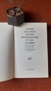 L'Homme aux loups par ses psychanalystes et par lui-même
. GARDINER Muriel (textes réunis et présentés par)