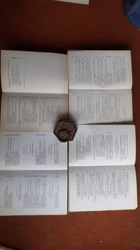Les Responsabilités des dynasties bourgeoises - Tomes 1,2,3,4,5
. BEAU de LOMENIE Emmanuel