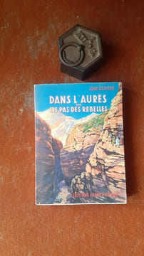 Dans l'Aurès, sur les pas des rebelles
. SERVIER Jean
