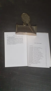 Nouvelles lettres persanes - Journal d'un Français à Téhéran
. GINGER Serge