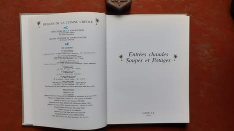 Délices de la Cuisine Créole - Volume 2 : Entrées chaudes - Soupes et Potages
. BELLAHSEN Fabien - DELMORAL André - DELAGE Francis (direction de)
