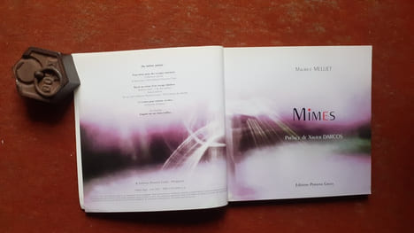 Vingt ans de mimes
. MELLIET Maurice