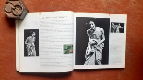 Vingt ans de mimes
. MELLIET Maurice