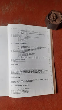Les conséquences de la défaite de Sedan sur les relations franco-austro-hongroises de 1871 à 1879
. BRIEZ Nathalie