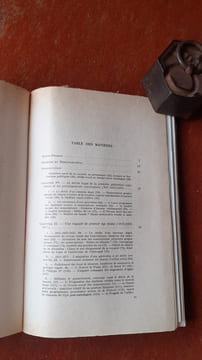 Le gouvernement royal aux premiers temps capétiens (987-1108)
. LEMARIGNIER Jean-François