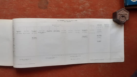 Contribution à l'étude de l'histoire de la pharmacie en France - Les Apothicaires de Reims
