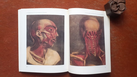L'illustration anatomique de la Renaissance au siècle des Lumières
. MONTMOLLIN Dominique de - SCHLUP Michel - SCHMIDT Michael