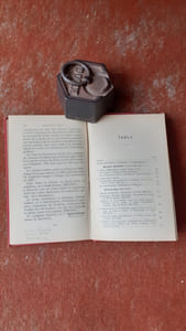 Histoire du Forez