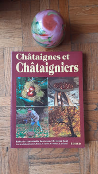 Châtaignes et Châtaigniers en régions méditerranéennes françaises (Culture, usages, gastronomie)
. SAUVEZON Robert et Antoinette - SUNT Christian
