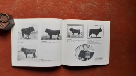 Le Terrible et Incomparable Sanglier (1916-1933) de la manade F. Granon-Combet
. DURAND Jacques