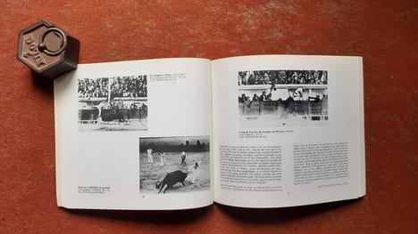Le Terrible et Incomparable Sanglier (1916-1933) de la manade F. Granon-Combet
. DURAND Jacques