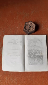 De la nature du siège de la migraine (hémicranie), de la surdité accidentelle et leur traitement rationel
. MENE Maurice