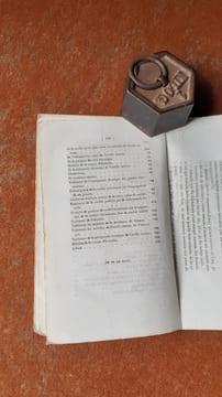 De la nature du siège de la migraine (hémicranie), de la surdité accidentelle et leur traitement rationel
. MENE Maurice