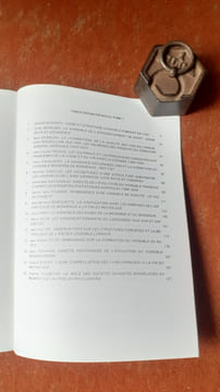 Géographie historique des vignobles - Actes du colloque de Bordeaux, Octobre 1977 - Tome 1 : Vignobles français
. HUETZ de LEMPS A. (sous la ...