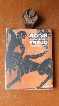 La passion à l'œuvre. Rodin et Freud collectionneurs
. VIEVILLE Dominique (préface de)