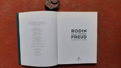 La passion à l'œuvre. Rodin et Freud collectionneurs
. VIEVILLE Dominique (préface de)