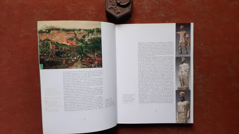 La passion à l'œuvre. Rodin et Freud collectionneurs
. VIEVILLE Dominique (préface de)