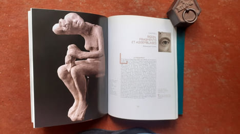 La passion à l'œuvre. Rodin et Freud collectionneurs
. VIEVILLE Dominique (préface de)