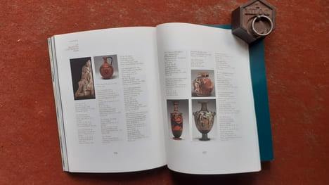 La passion à l'œuvre. Rodin et Freud collectionneurs
. VIEVILLE Dominique (préface de)