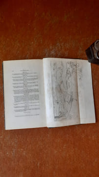 Lettres sur les révolutions du globe
. BERTRAND Alexandre