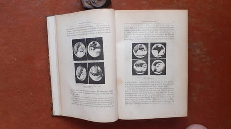 Les Terres du Ciel - Voyage astronomique sur les autres mondes et description des conditions actuelles de la vie sur les diverses planètes du système ...
