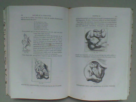 Histoire de la caricature et du grotesque dans la littérature et dans l'art	. WRIGHT Thomas	