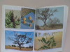 L'arbre nourricier en pays sahélien	. BERGERET Anne - RIBOT Jesse C. (avec la collaboration de)	