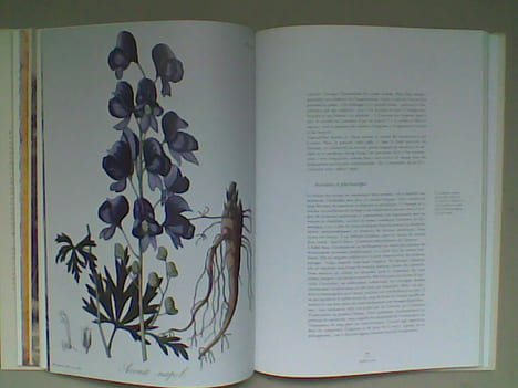 Les vertus des plantes	. PELT Jean-Marie	