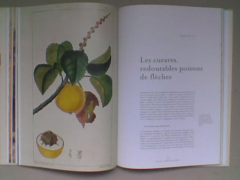 Les vertus des plantes	. PELT Jean-Marie	