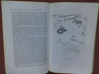 Permanence de la parure et du masque africains