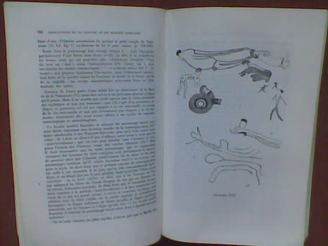 Permanence de la parure et du masque africains . BERNOLLES Jacques