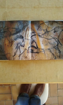 Grotte Chauvet bei Vallon-Pont-d'Arc. Altsteinzeitliche Höhlenkunst im Tal der Ardèche	. CHAUVET Jean-Marie - BRUNEL DESCHAMPS Eliette - HILLAIRE ...