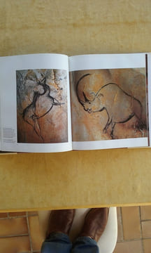 Grotte Chauvet bei Vallon-Pont-d'Arc. Altsteinzeitliche Höhlenkunst im Tal der Ardèche	. CHAUVET Jean-Marie - BRUNEL DESCHAMPS Eliette - HILLAIRE ...