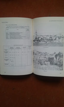 Les palmiers de la Côte d'Azur. Distribution géographique - Culture - Description des genres et des espèces . CHAUBAUD B.