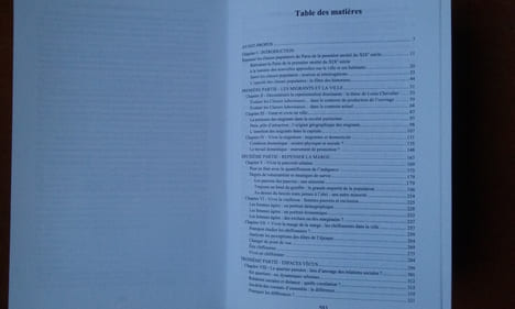 Vivre la ville - Les classes populaires à Paris (1ère moitié du XIXe siècle)
. RATCLIFFE Barrie M. - PIETTE Christine