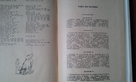 Sa majesté l'Amour - Histoire universelle de l'amour. Dans la Nature - Dans l'Histoire - Dans la Société
. LORULOT André (André Roulot)